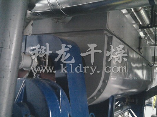 可可豆專用空心槳葉干燥機