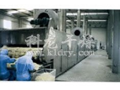 DWC系列脫水蔬菜帶式干燥機─【科龍干燥】