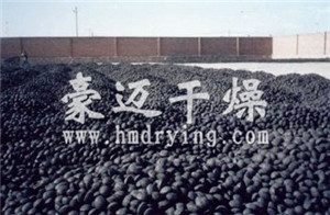 網帶式球團烘干機成品